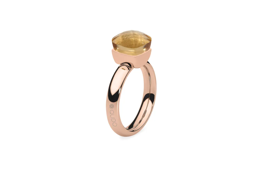 ohrangerie Erdige Stücke | Ringe<Ring, champagner